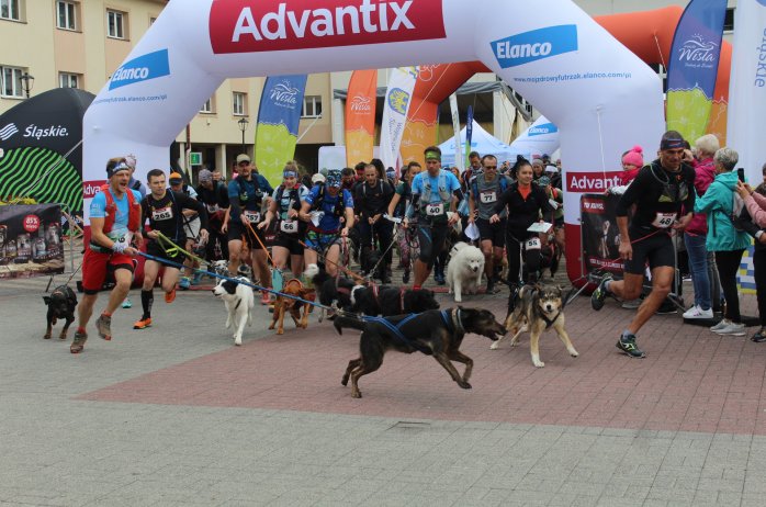 dogtrekking_2022